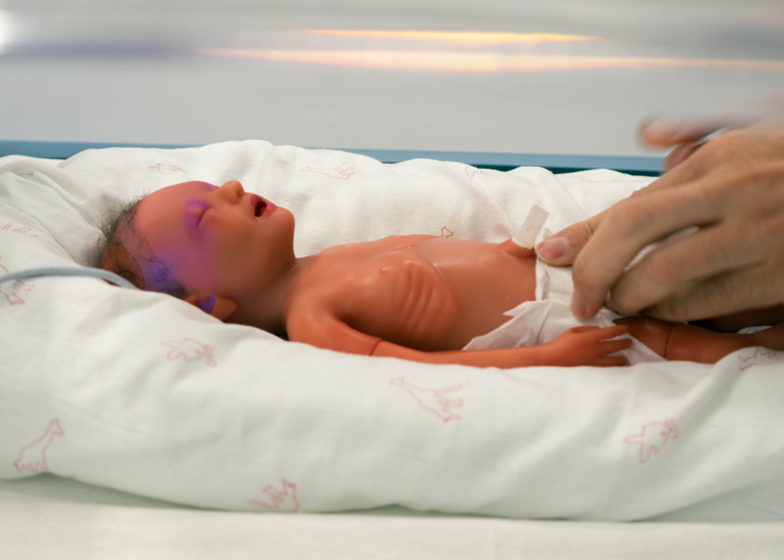 Entrenamiento en incubadora neonatal